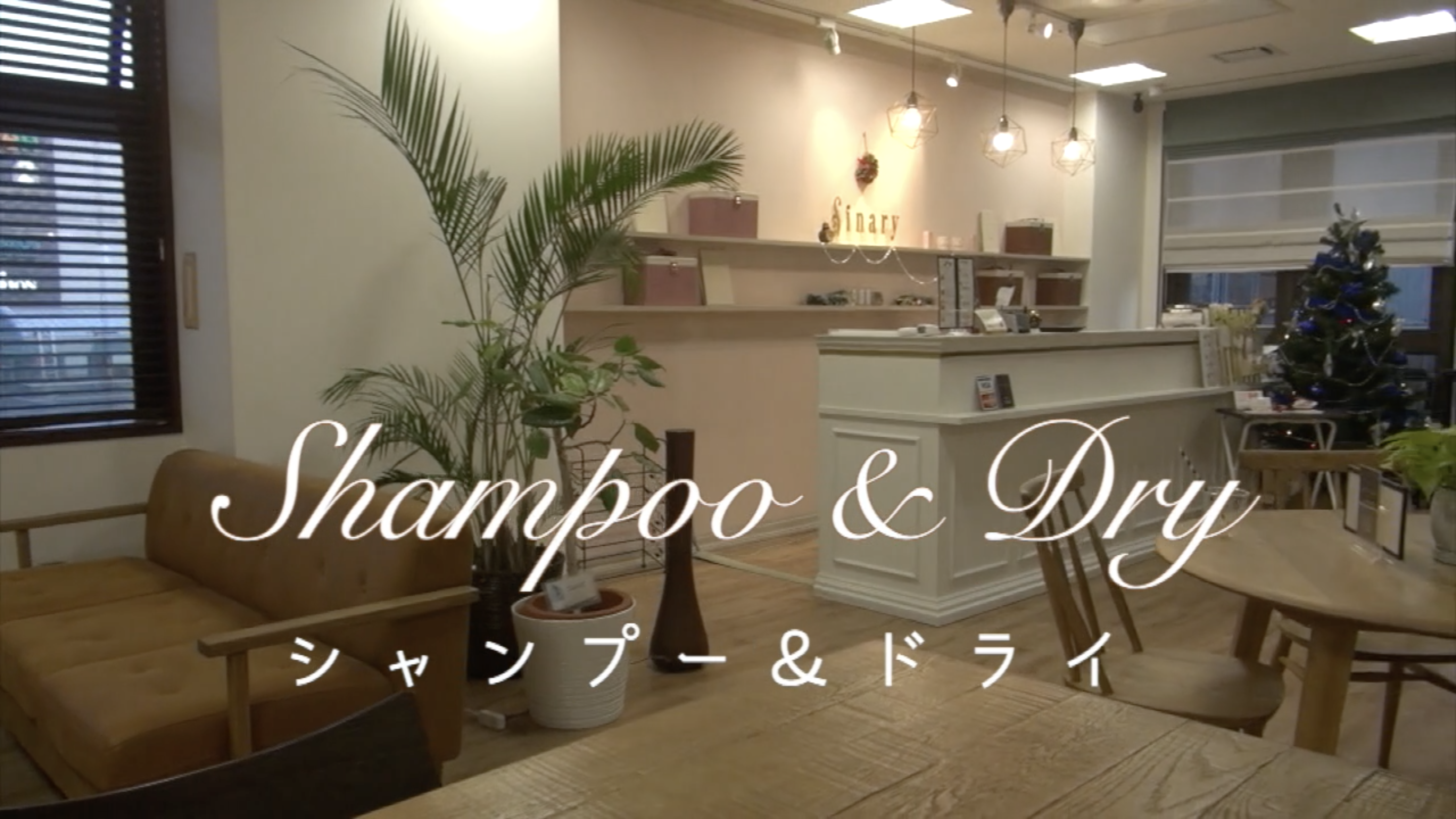 Tachikawa | シナリー株式会社